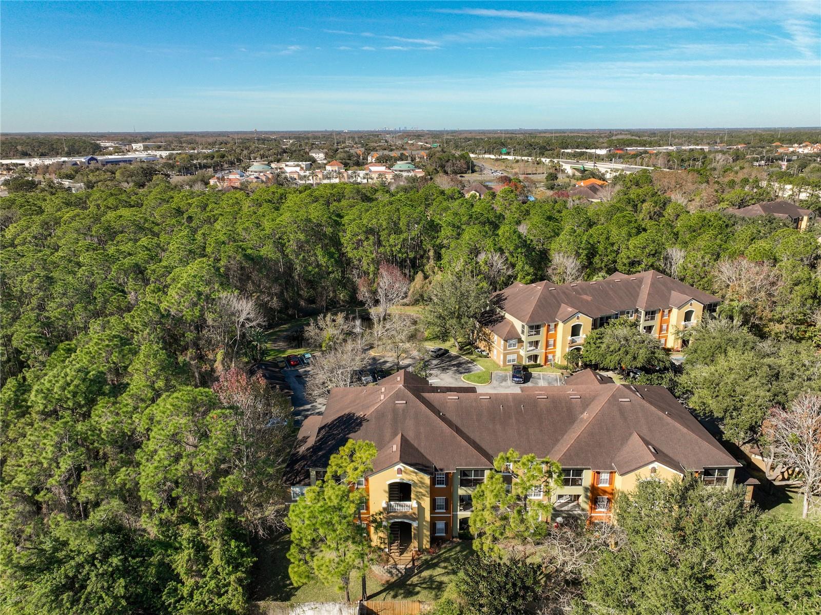 Image 40 of 48 For 12603 Crest Springs Lane 1436