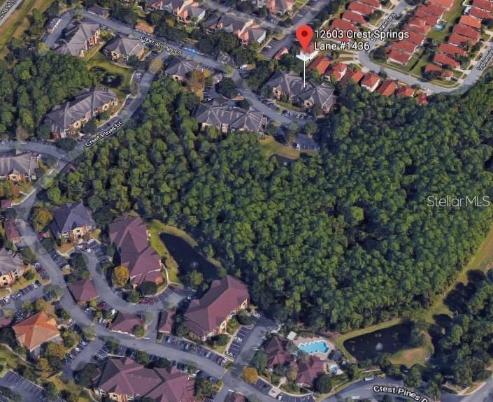 Image 43 of 48 For 12603 Crest Springs Lane 1436