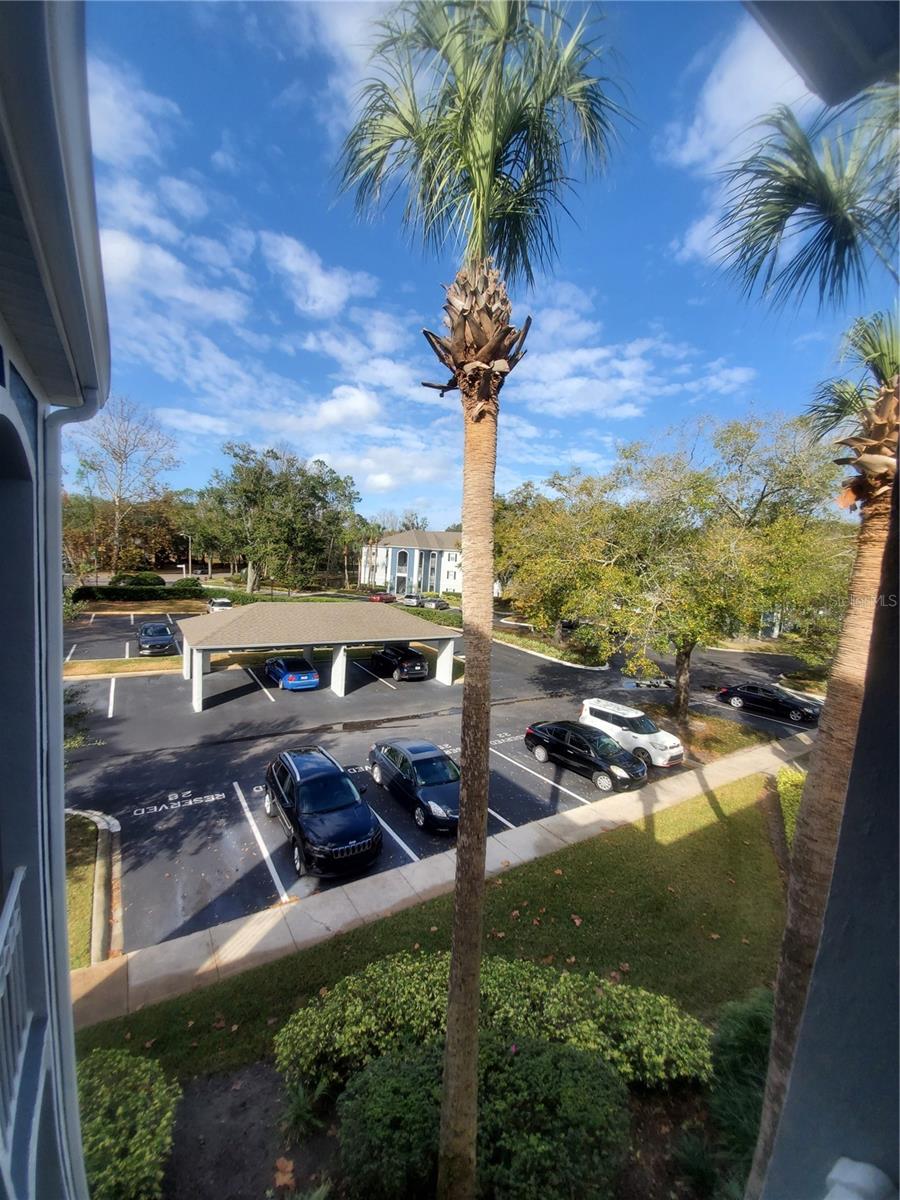 Image 28 of 32 For 2304 Clubside Drive 2304