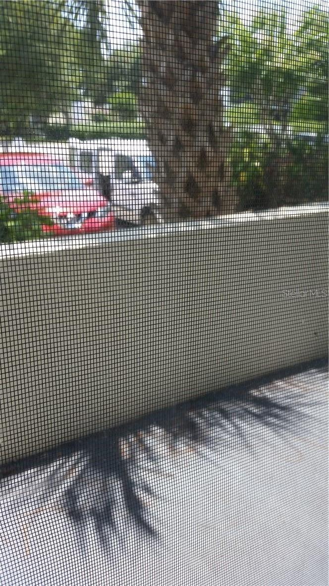 Image 15 of 15 For 5989 Village Circle 890