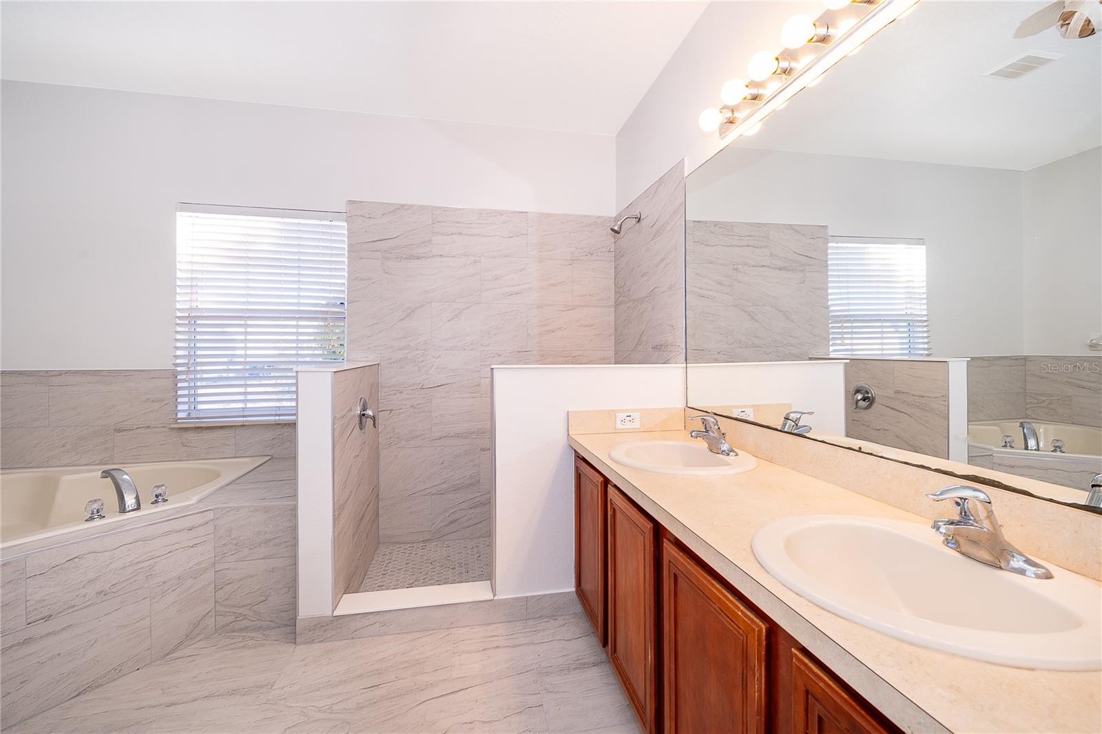 Image 8 of 26 For 213 Big Black Drive