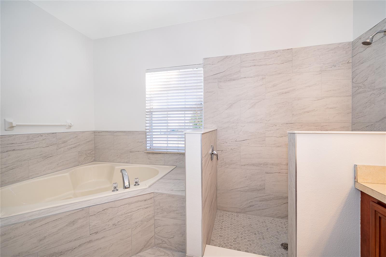 Image 9 of 26 For 213 Big Black Drive