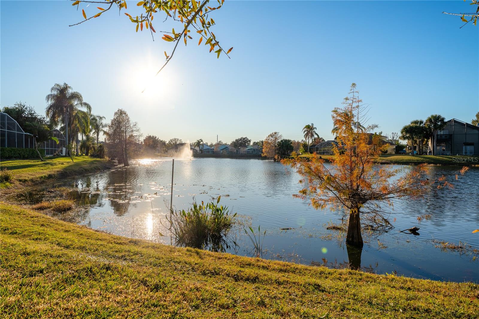 Image 39 of 53 For Address Not Provided