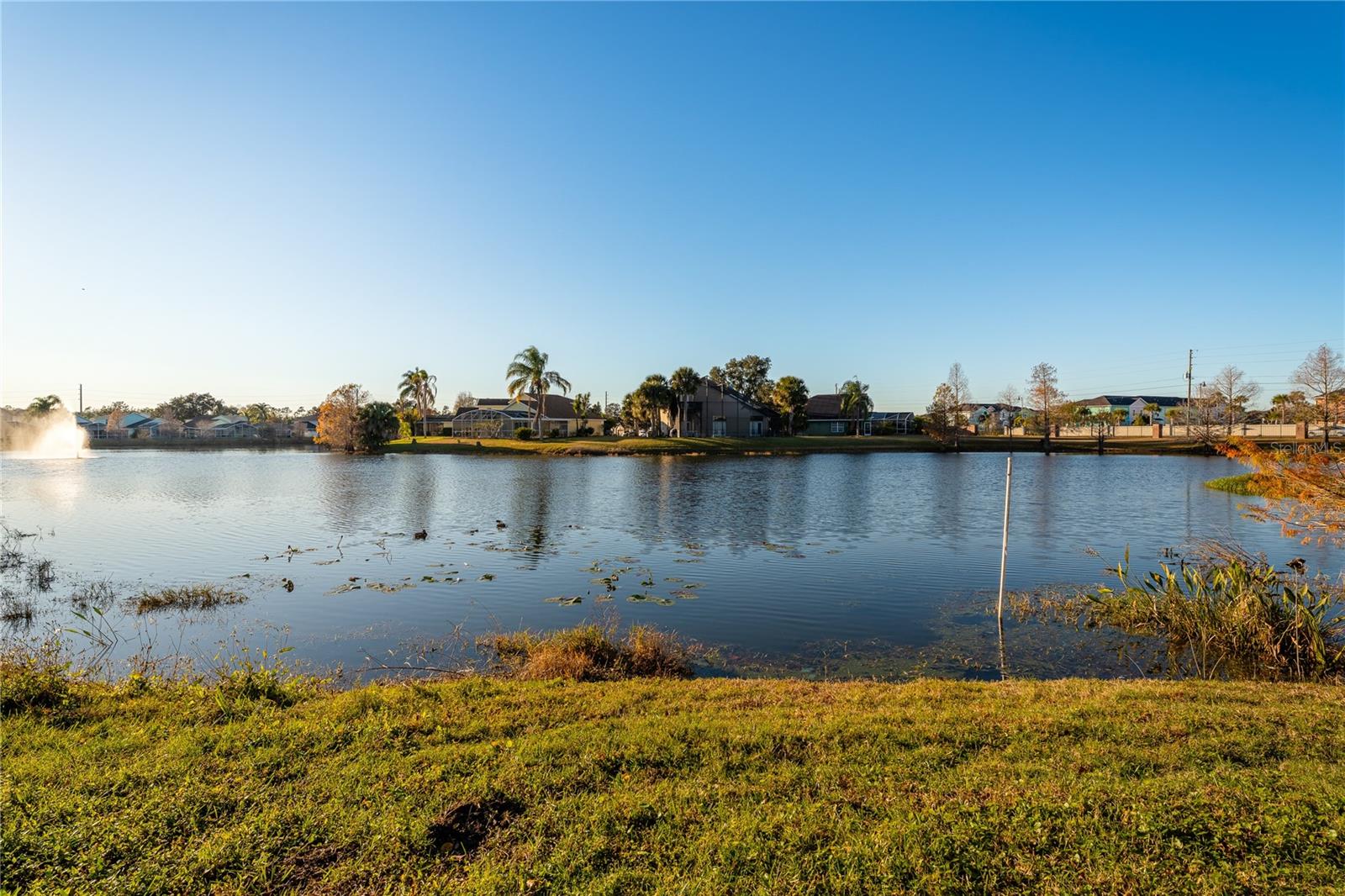 Image 40 of 53 For Address Not Provided