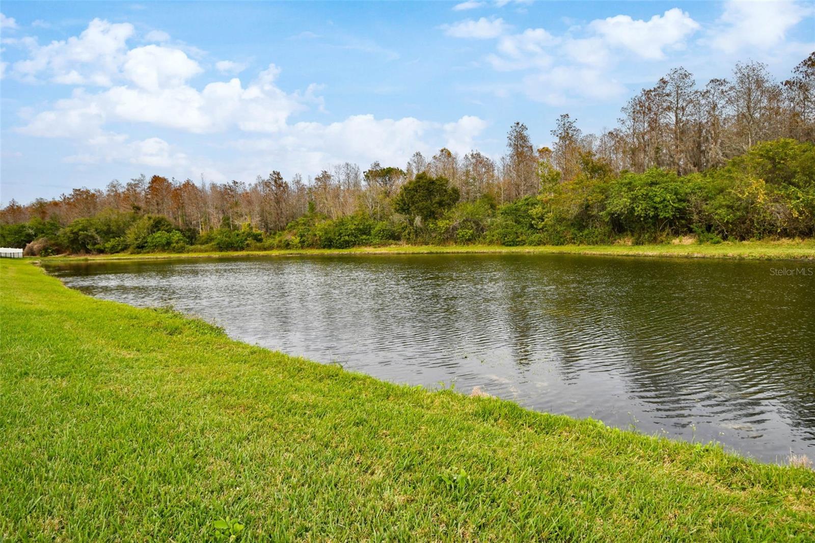 Image 49 of 63 For 4215 Settlers Court