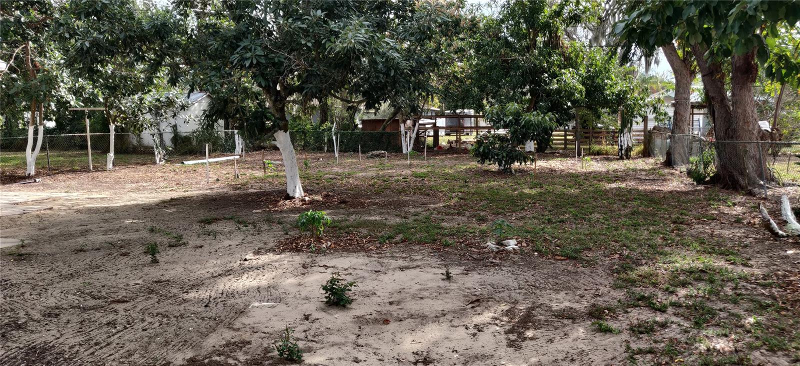 Image 6 of 19 For Address Not Provided