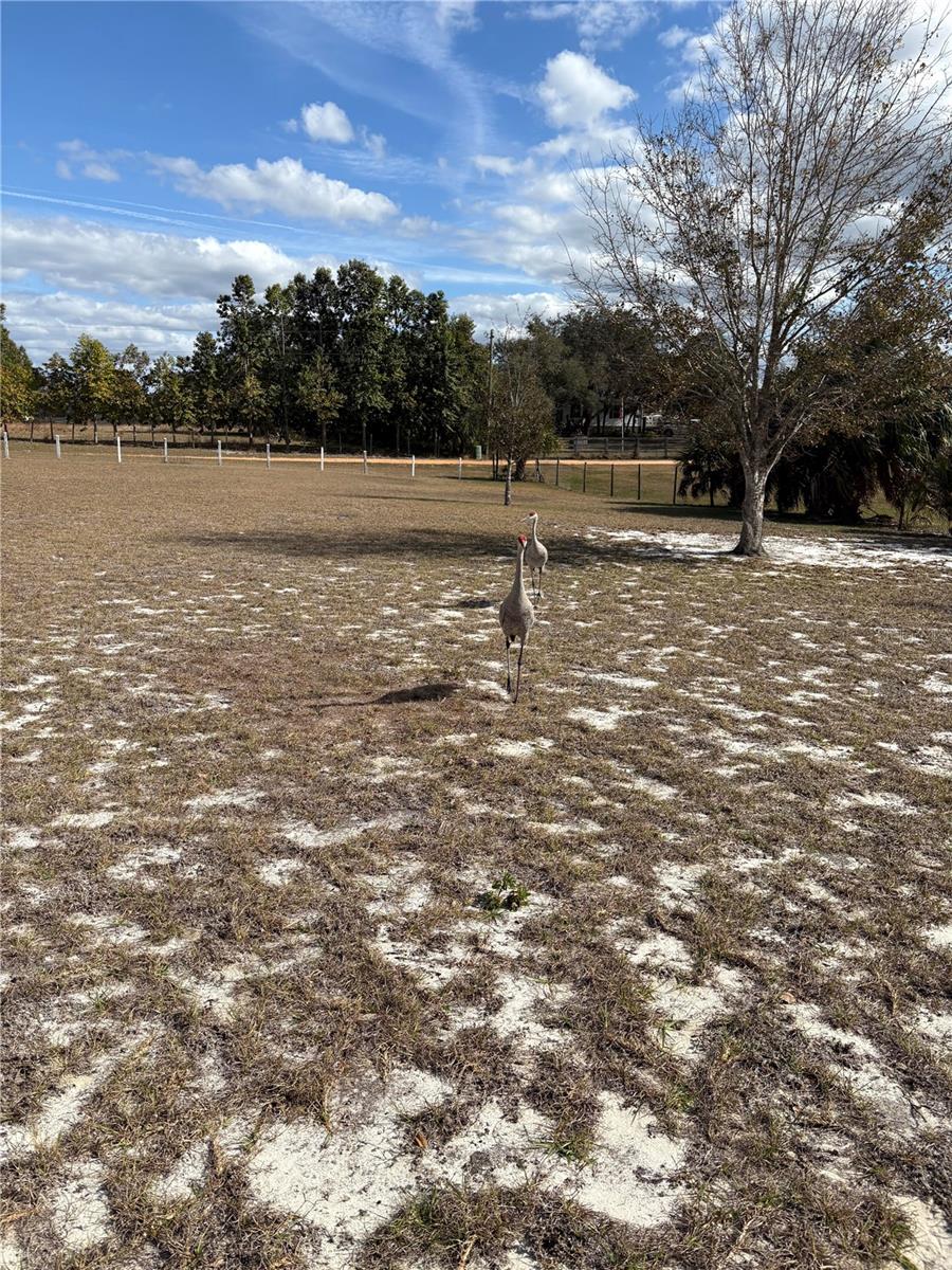 Image 49 of 65 For 1297 Pfundstein Road