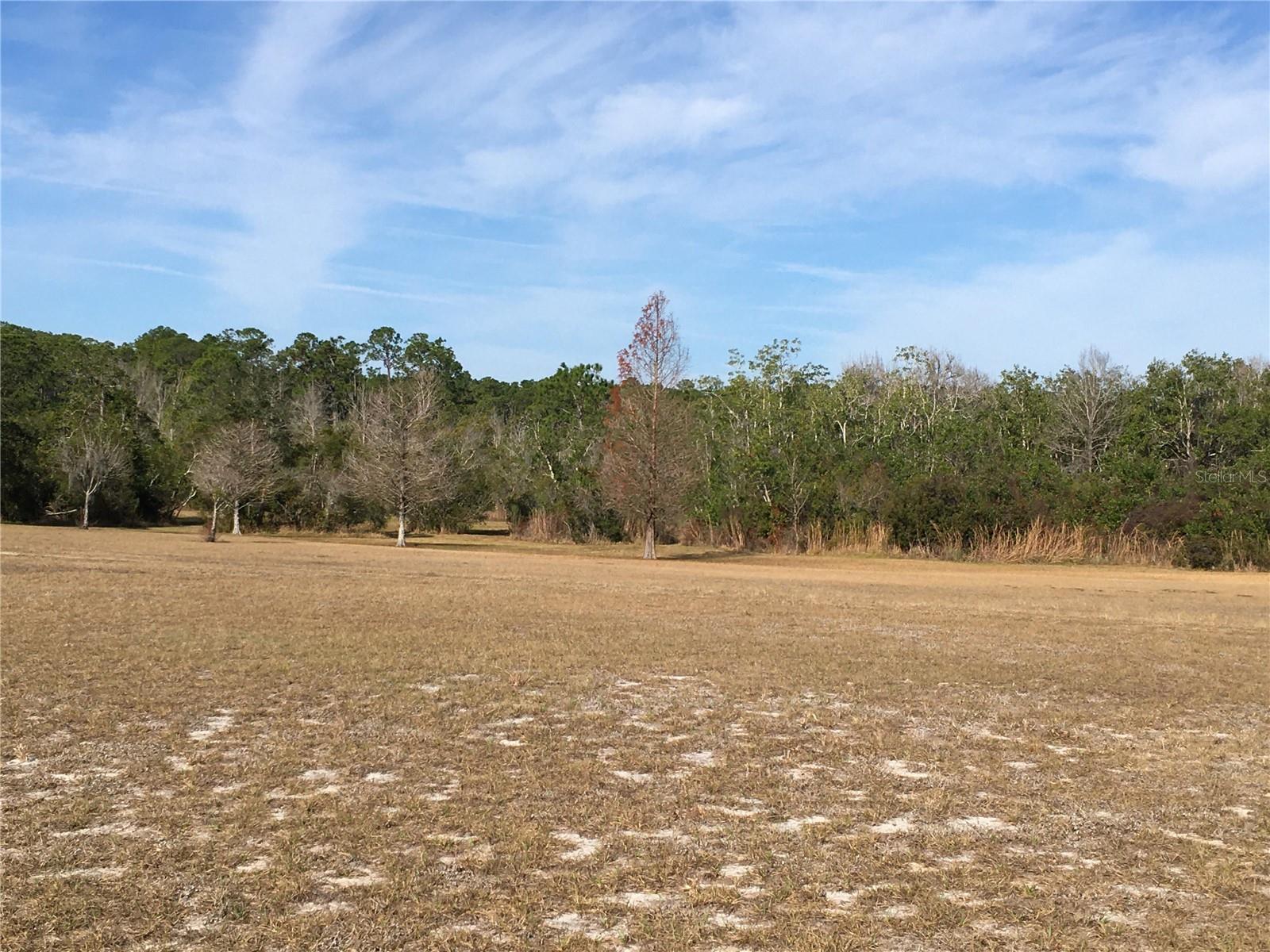 Image 64 of 65 For 1297 Pfundstein Road