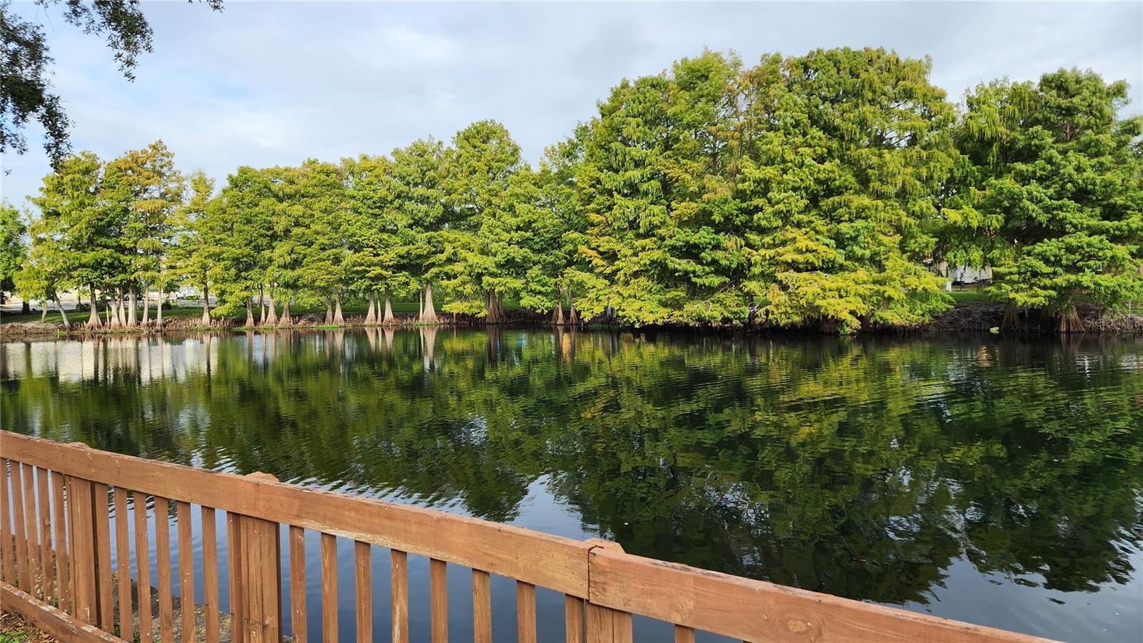 Image 15 of 17 For 4540 Commander Drive 2238