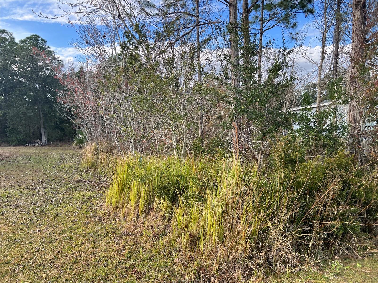 Details for 1425 Teal Drive, KISSIMMEE, FL 34759