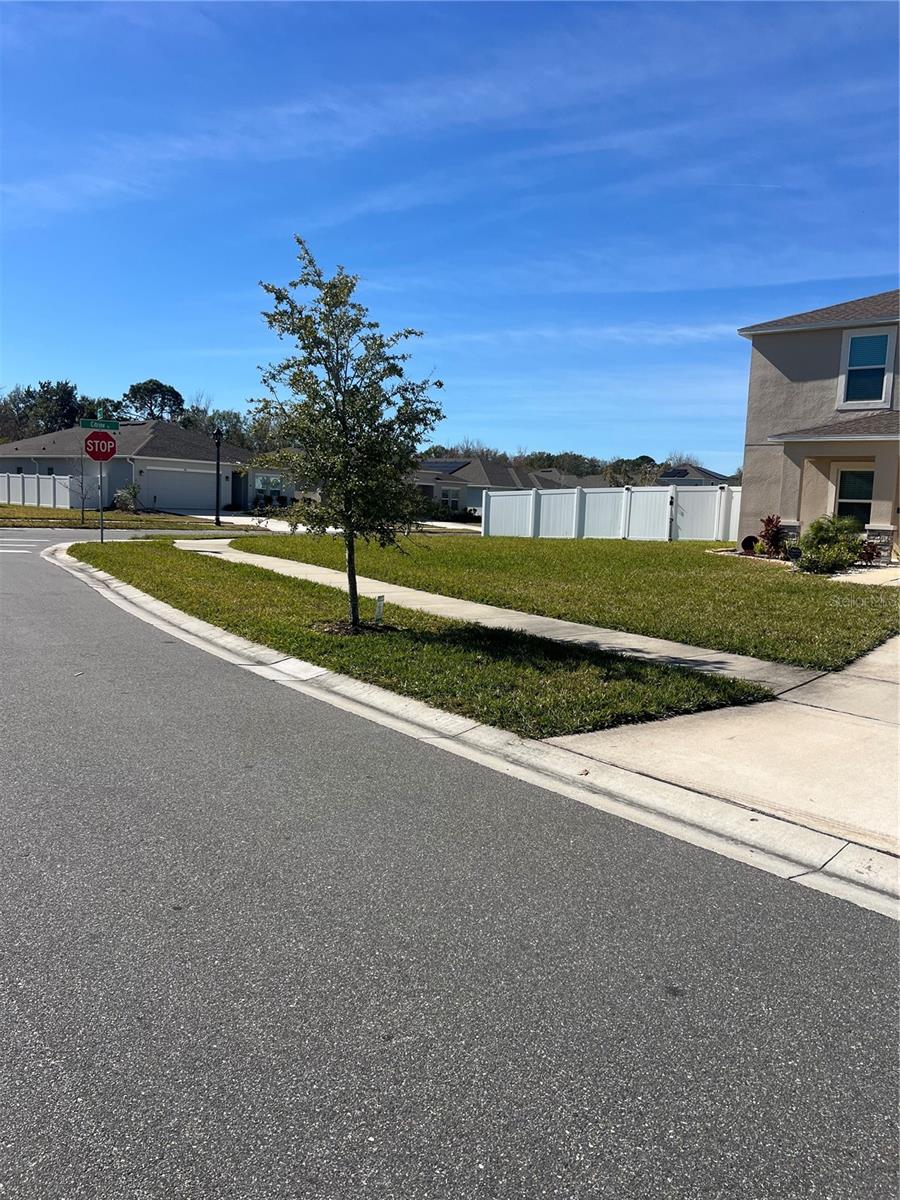 Image 43 of 61 For 206 Amber Way