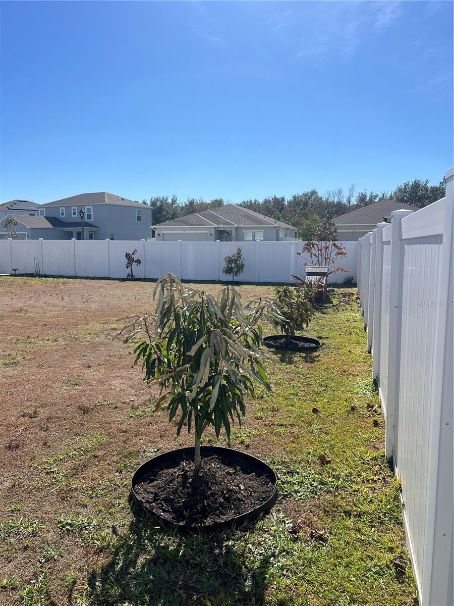 Image 54 of 61 For 206 Amber Way