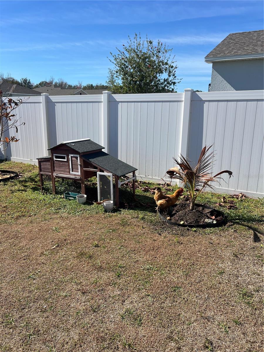 Image 55 of 61 For 206 Amber Way