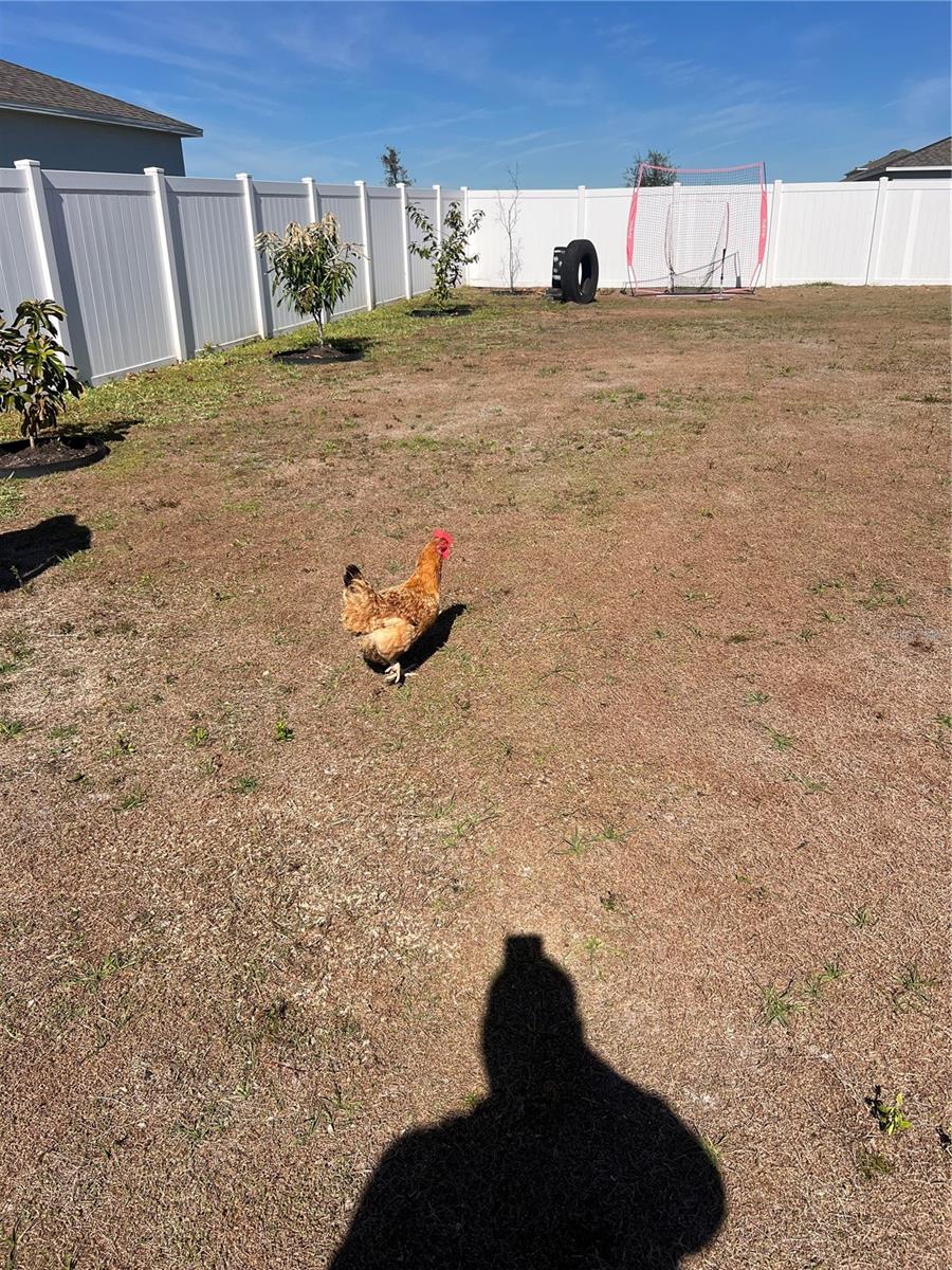 Image 56 of 61 For 206 Amber Way