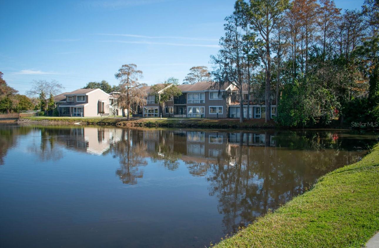 Image 3 of 15 For 5877 Windhover Drive # A01-1