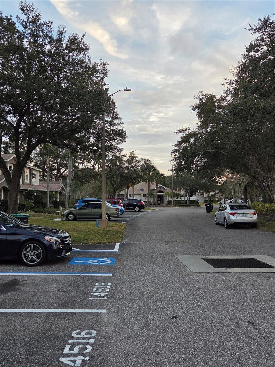 Image 27 of 31 For 14520 Laguna Beach Circle