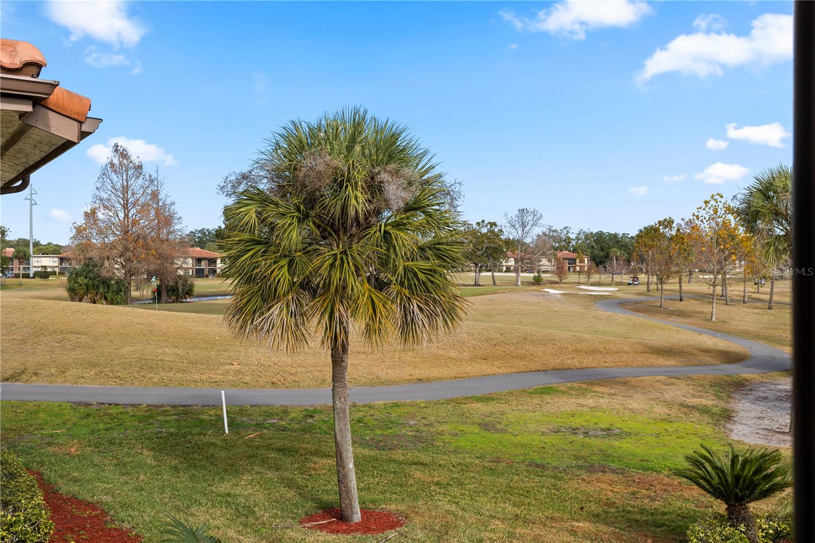 Image 30 of 36 For 6062 Willowpointe Circle 203