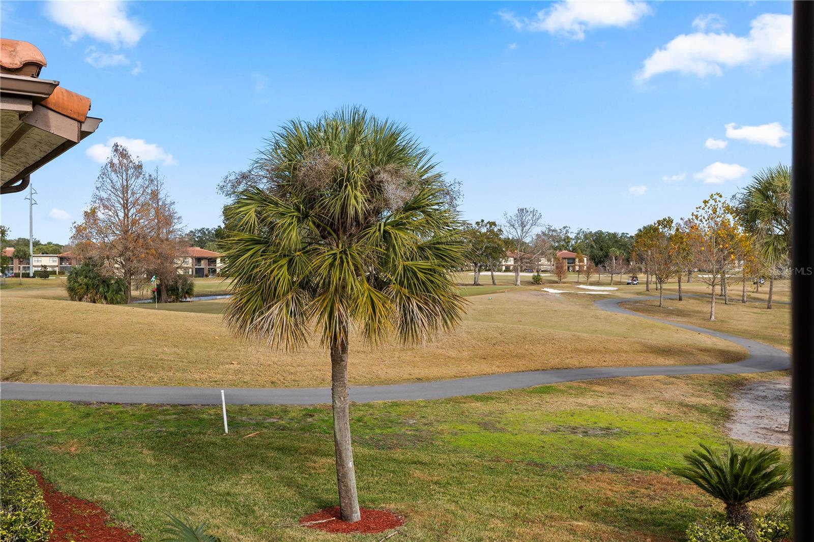 Image 31 of 36 For 6062 Willowpointe Circle 203