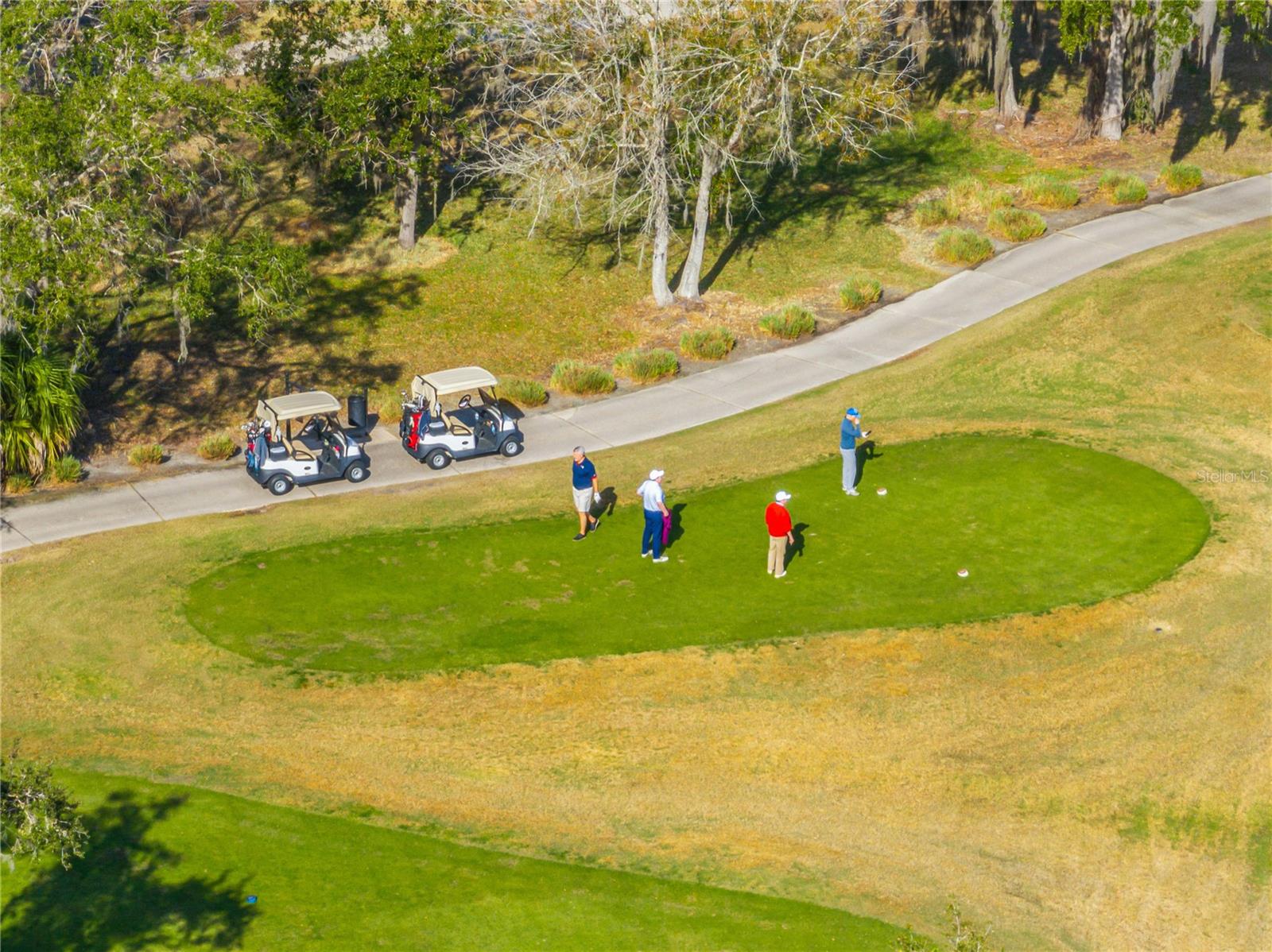 Image 50 of 51 For 172 Acadia Drive