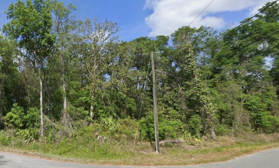 Image 3 of 6 For Spruce Terrace Run