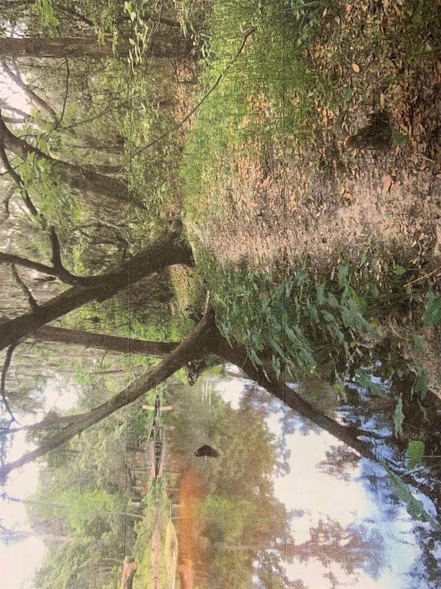 Image 7 of 8 For 0 Simpson Road