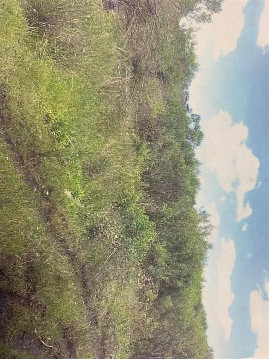 Image 8 of 8 For 0 Simpson Road