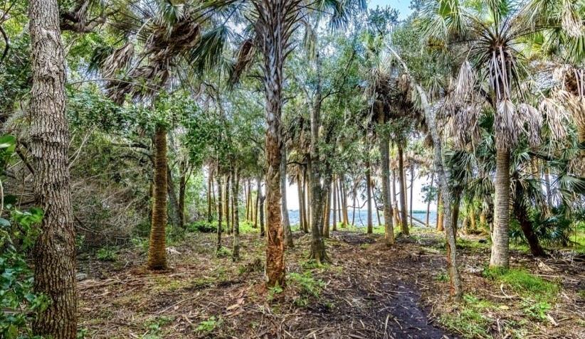 Image 20 of 23 For 2940 Maritime Lane