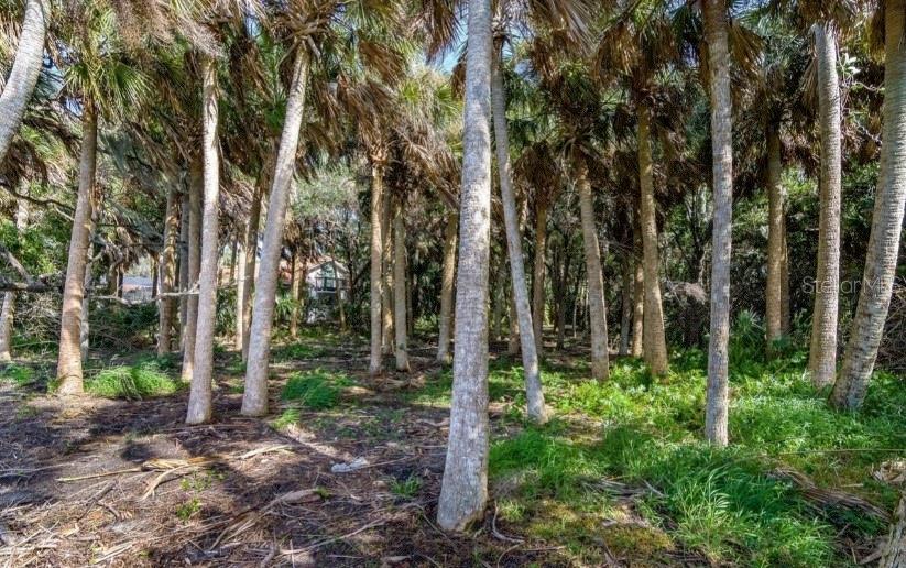 Image 6 of 23 For 2940 Maritime Lane