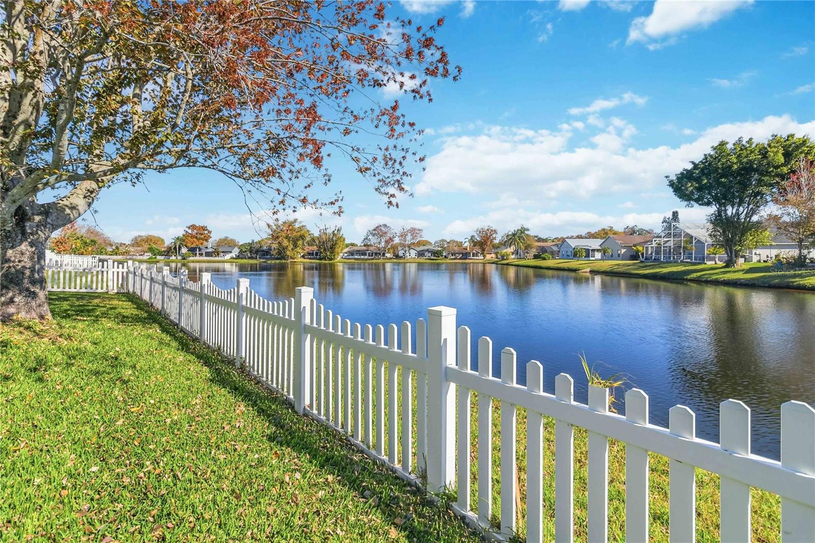 Image 43 of 47 For 3886 Blackberry Circle