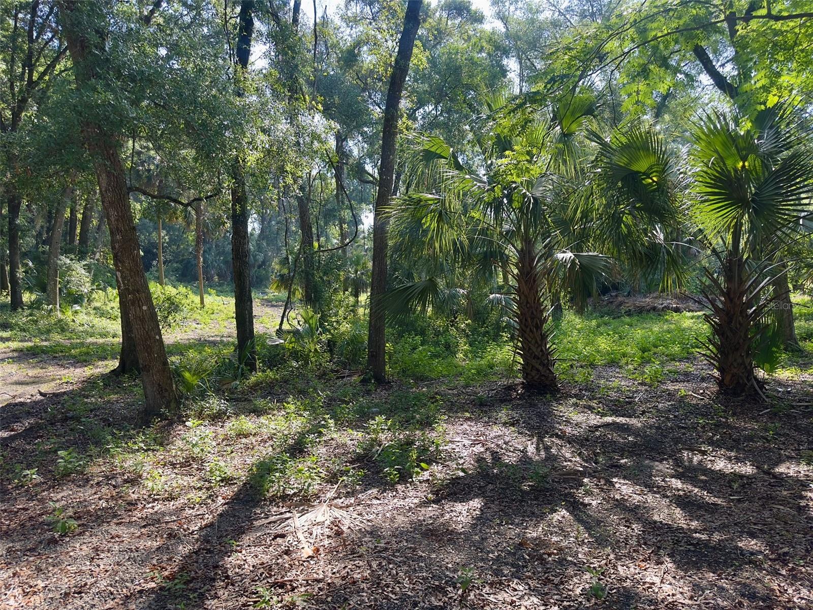 Image 7 of 9 For 2265 Crooked