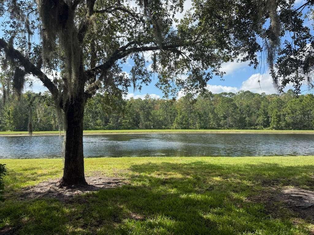 Image 26 of 45 For 3460 Victoria Pines Drive 160