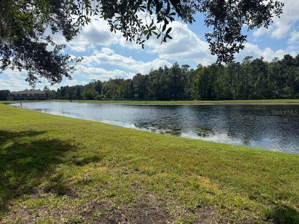 Image 28 of 45 For 3460 Victoria Pines Drive 160