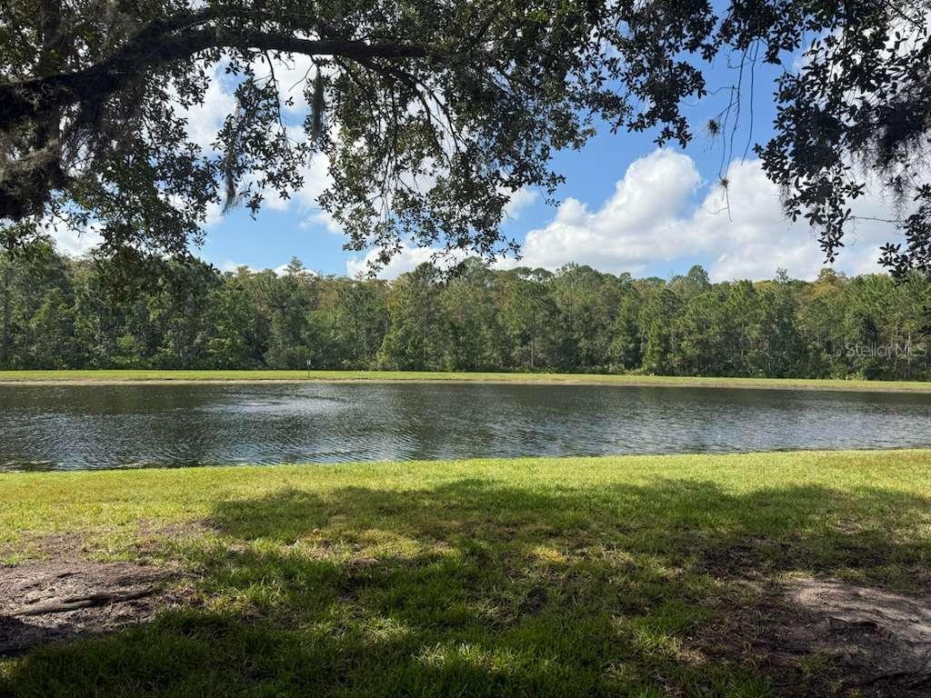 Image 29 of 45 For 3460 Victoria Pines Drive 160