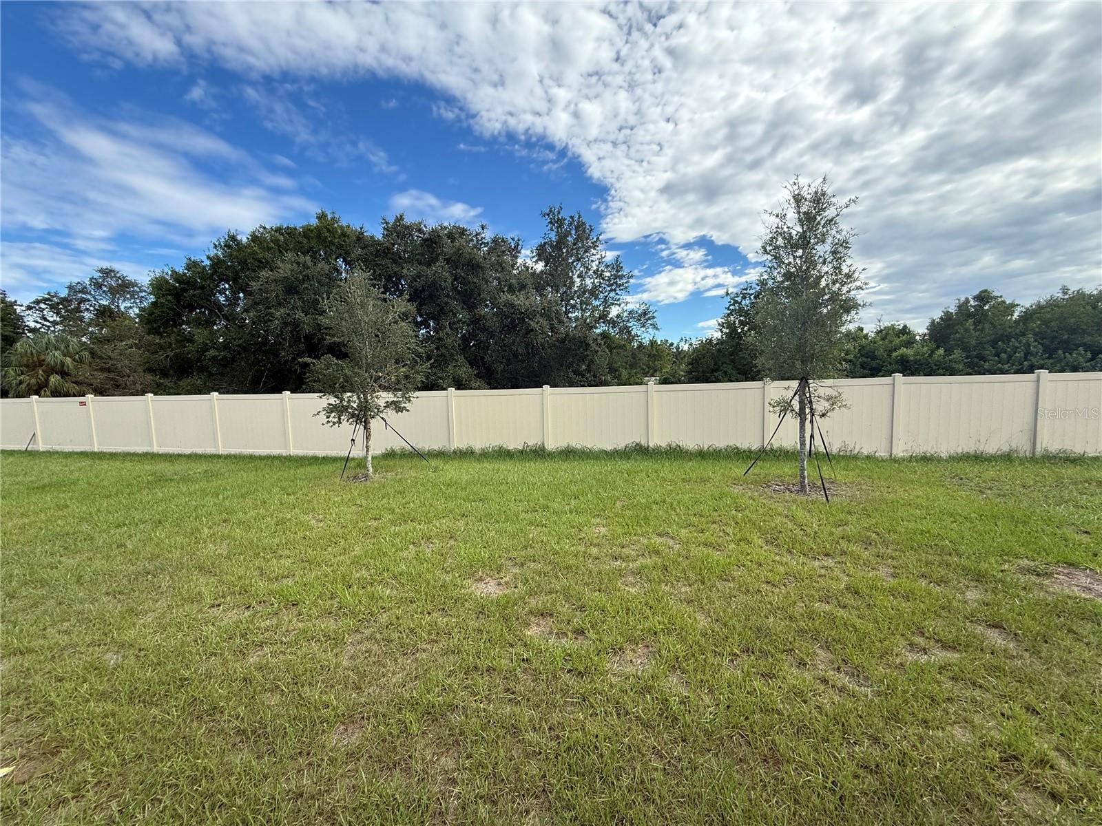 Image 11 of 21 For Address Not Provided