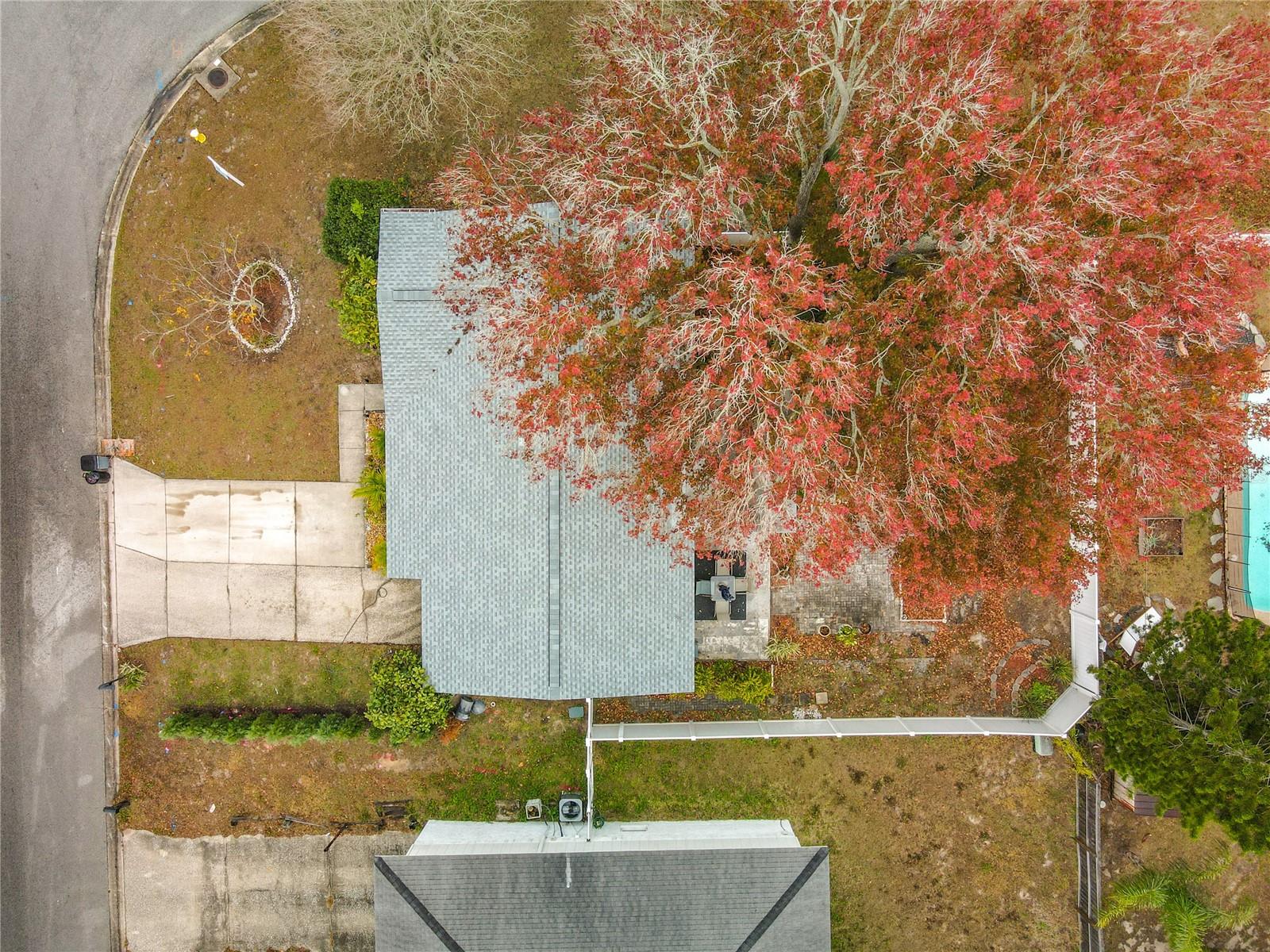 Image 34 of 39 For 762 Barbara Street