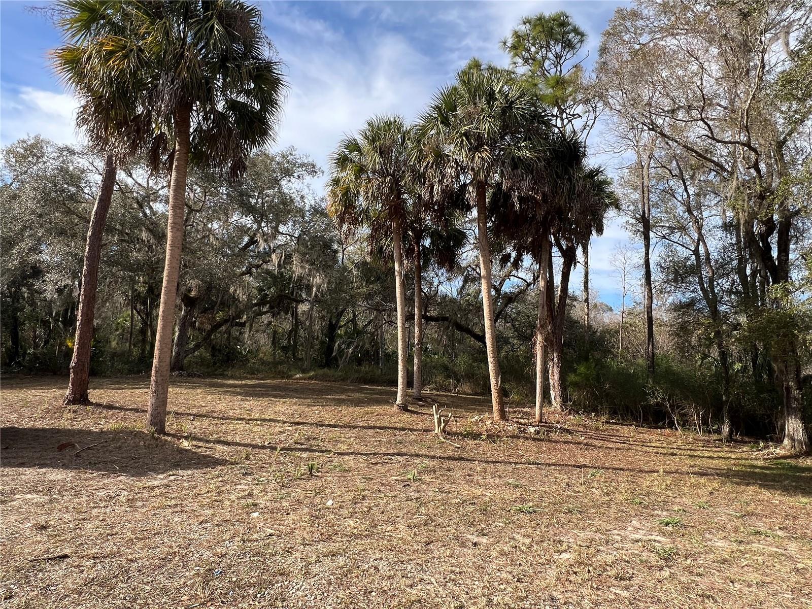 Image 13 of 43 For 4850 Ladybug Drive