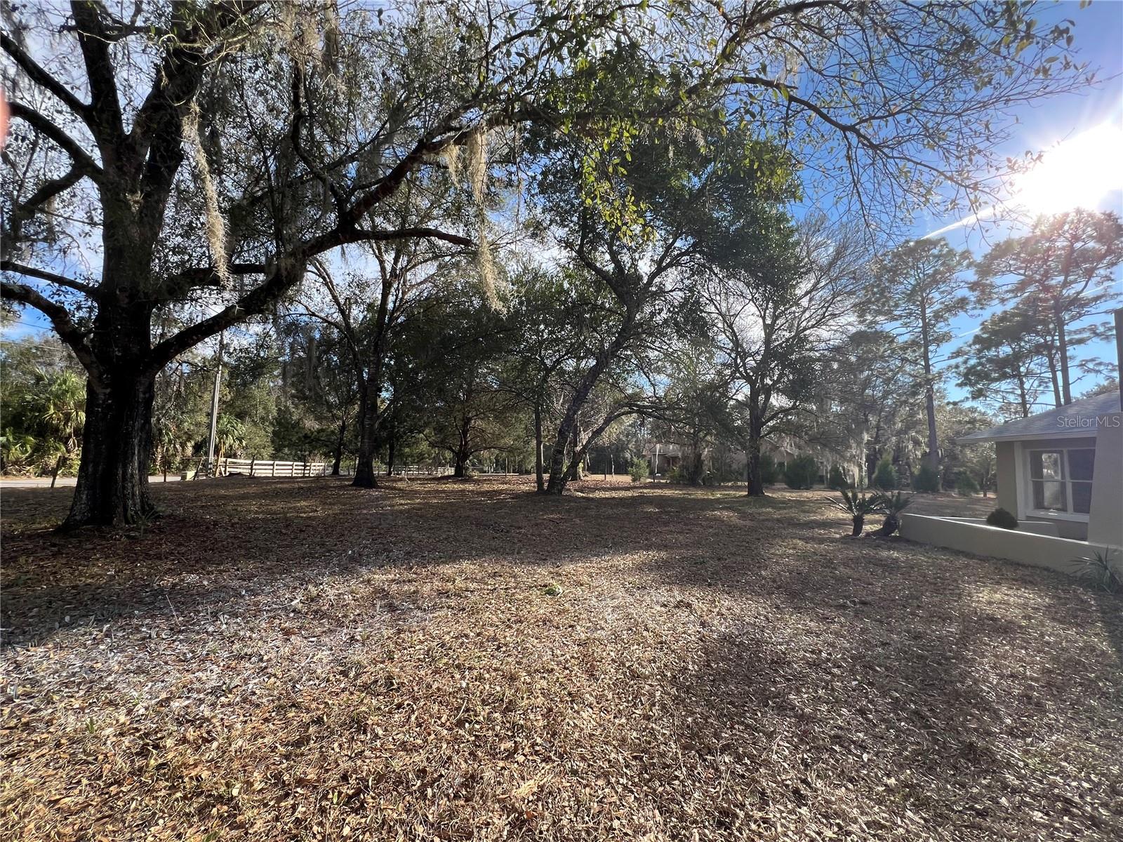 Image 14 of 43 For 4850 Ladybug Drive