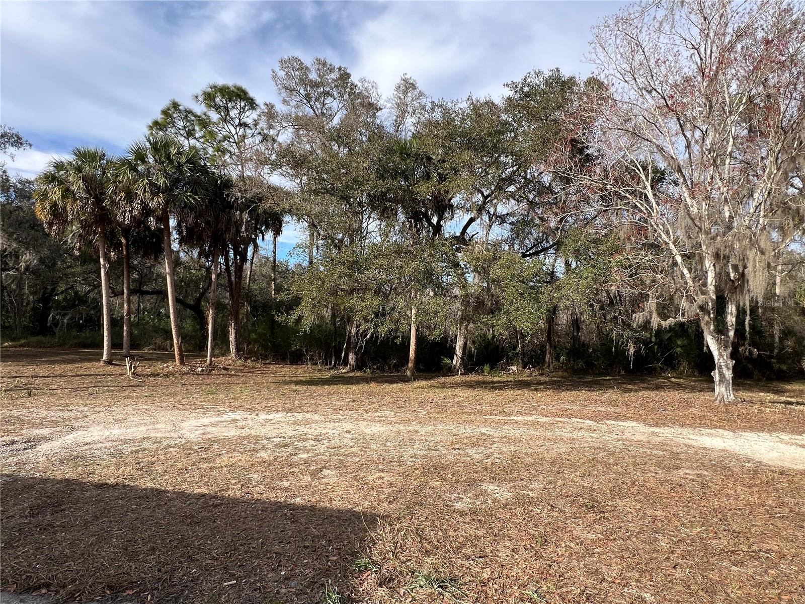 Image 15 of 43 For 4850 Ladybug Drive