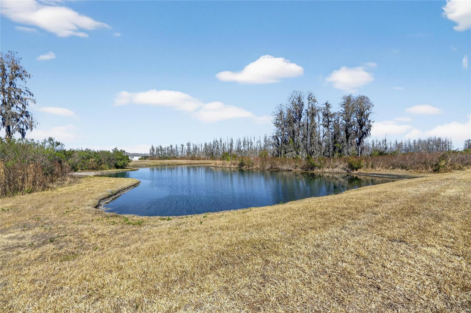 Image 53 of 90 For 18535 Coastal Shore Terrace