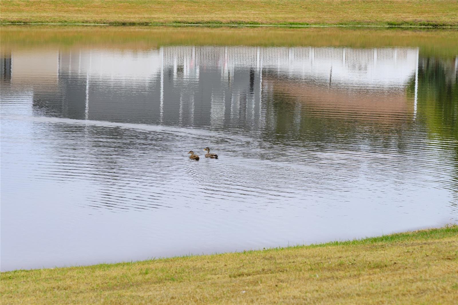 Image 6 of 8 For 13484 Applerose Lane 20