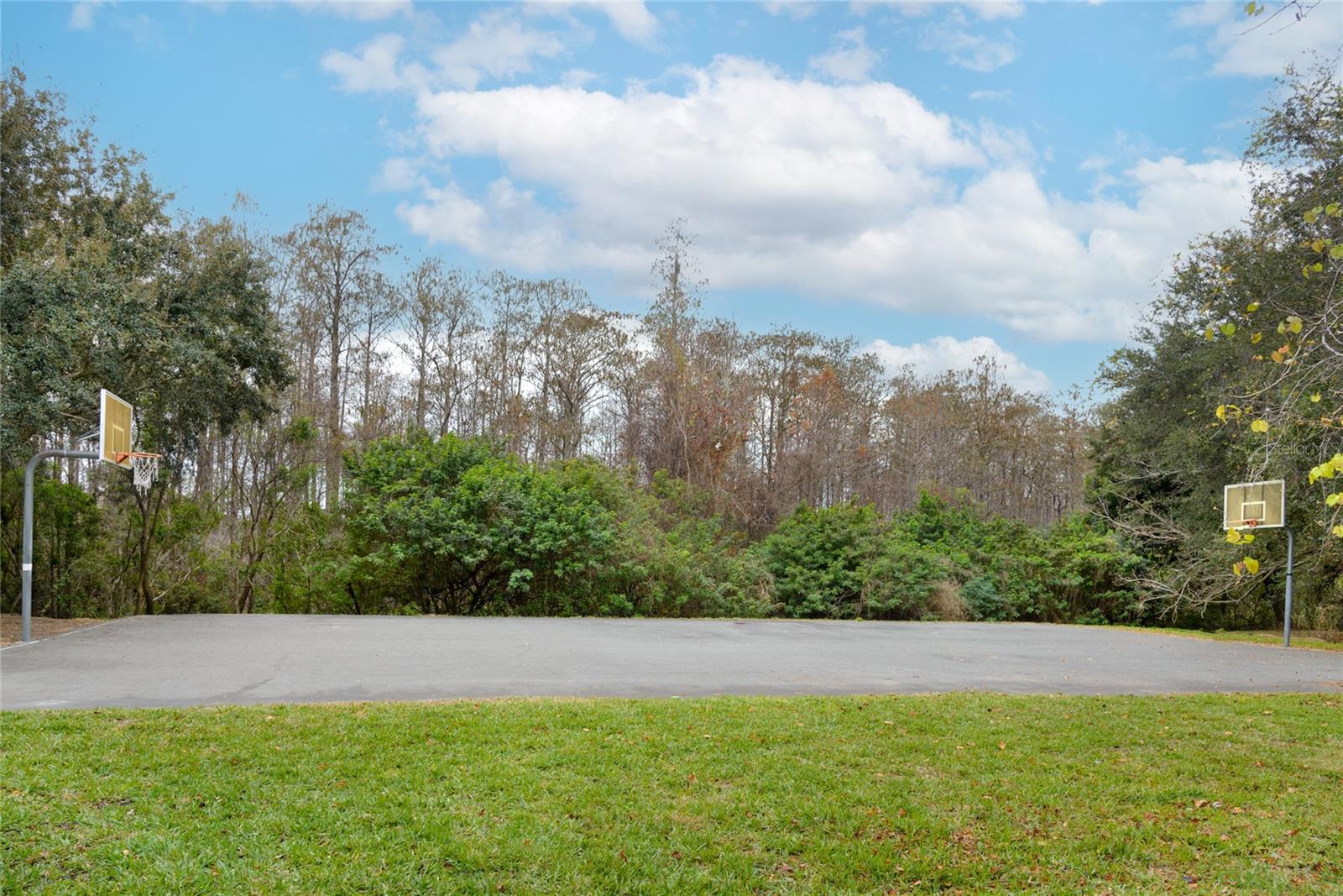 Image 8 of 8 For 13484 Applerose Lane 20