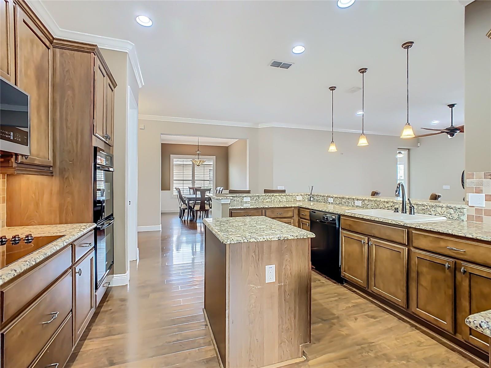 Image 15 of 97 For 472 Villa Park Road