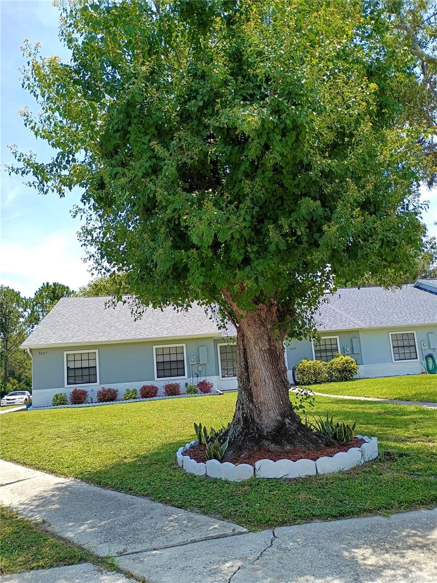 Image 2 of 30 For 3025 Jon Jon Court