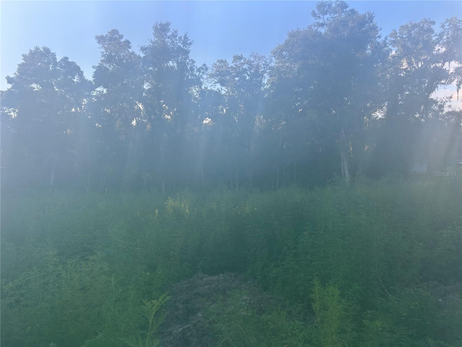 Listing Details for 3528 Nieman Drive, DUNNELLON, FL 34433