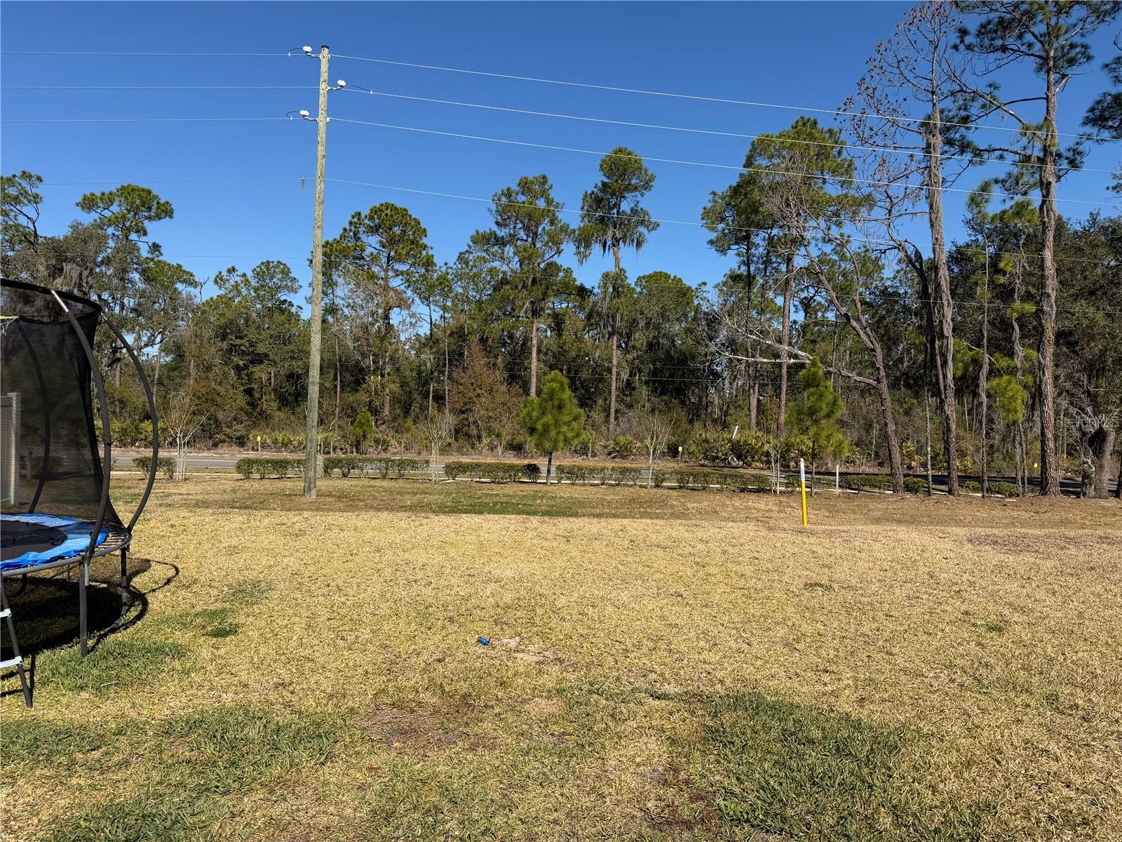 Image 16 of 21 For 4234 Bridle Booster Way