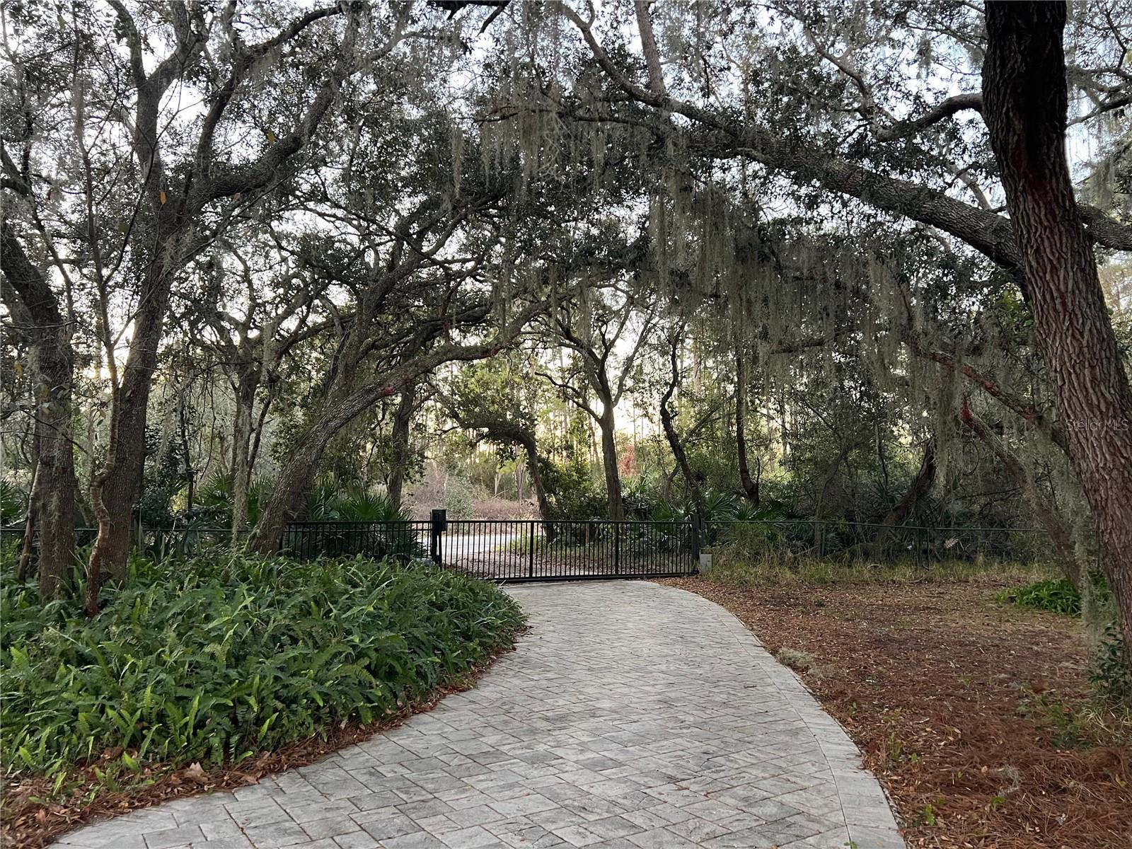 Image 47 of 94 For 965 Pine Hill Boulevard