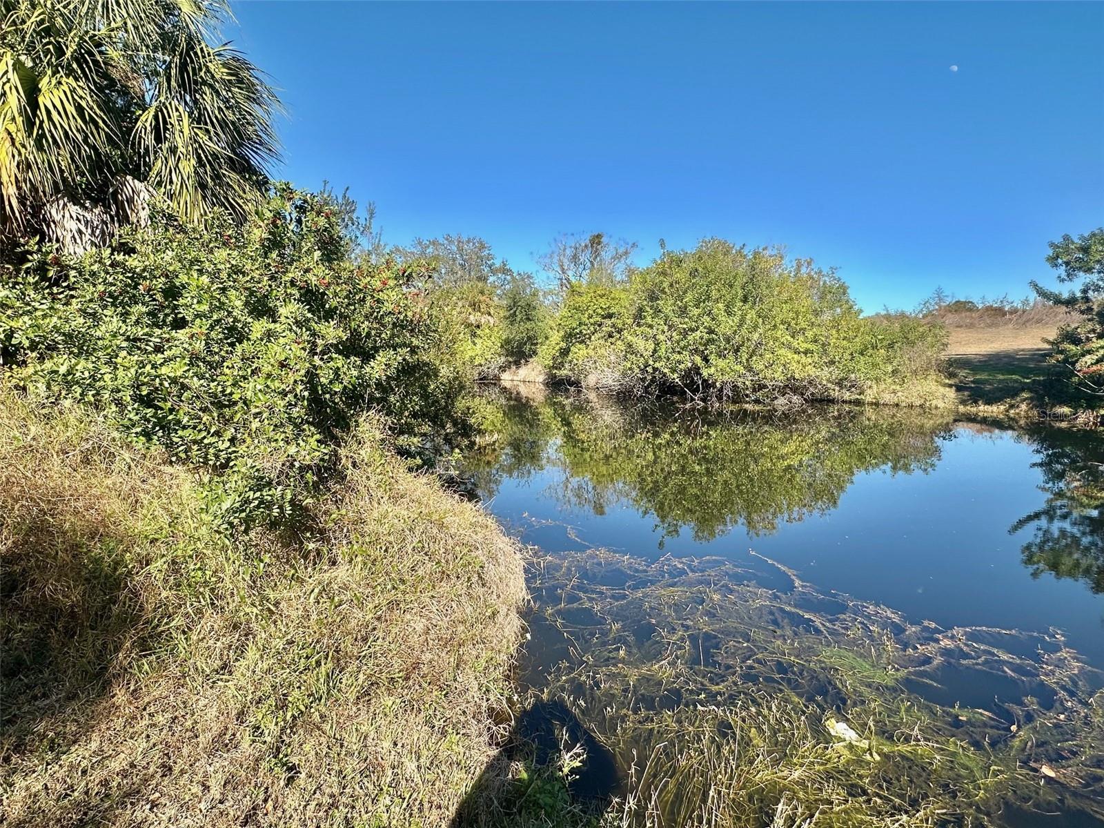 Image 2 of 32 For 12406 Cobble Stone Drive