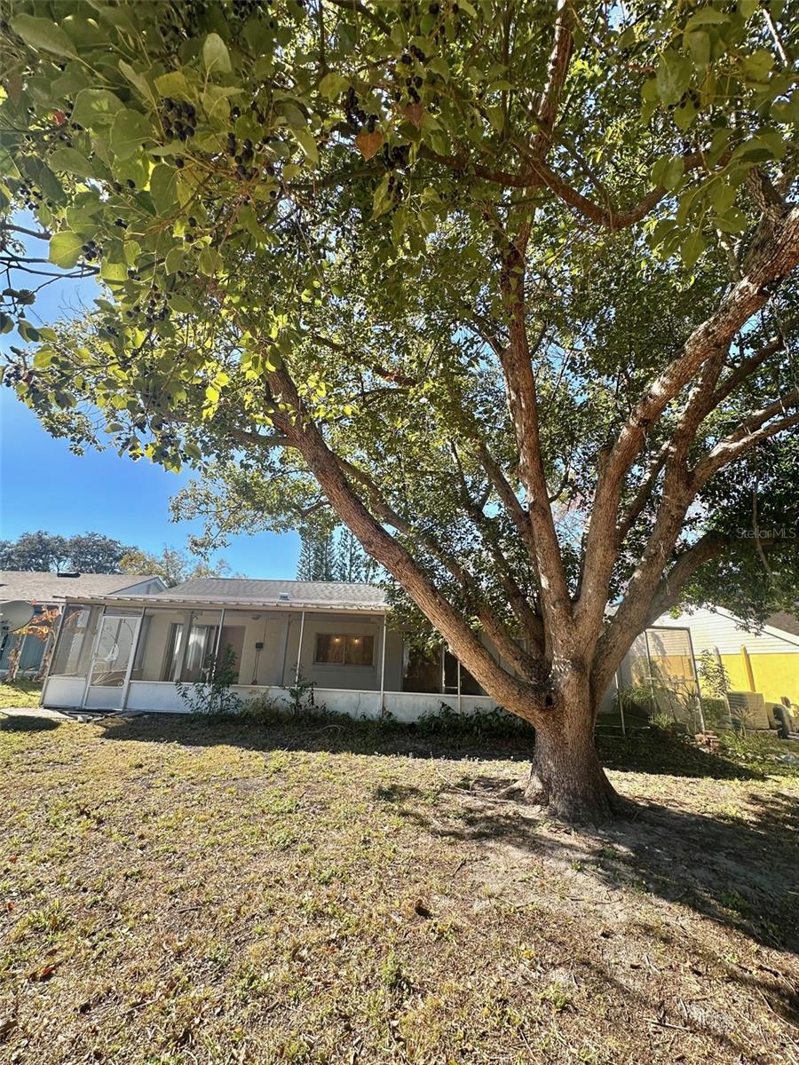 Image 26 of 32 For 12406 Cobble Stone Drive