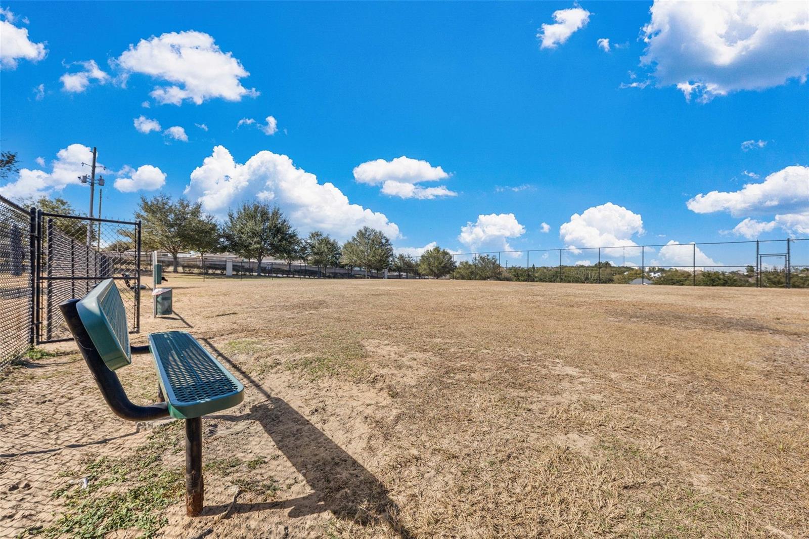 Image 31 of 32 For 790 Greenshank Drive