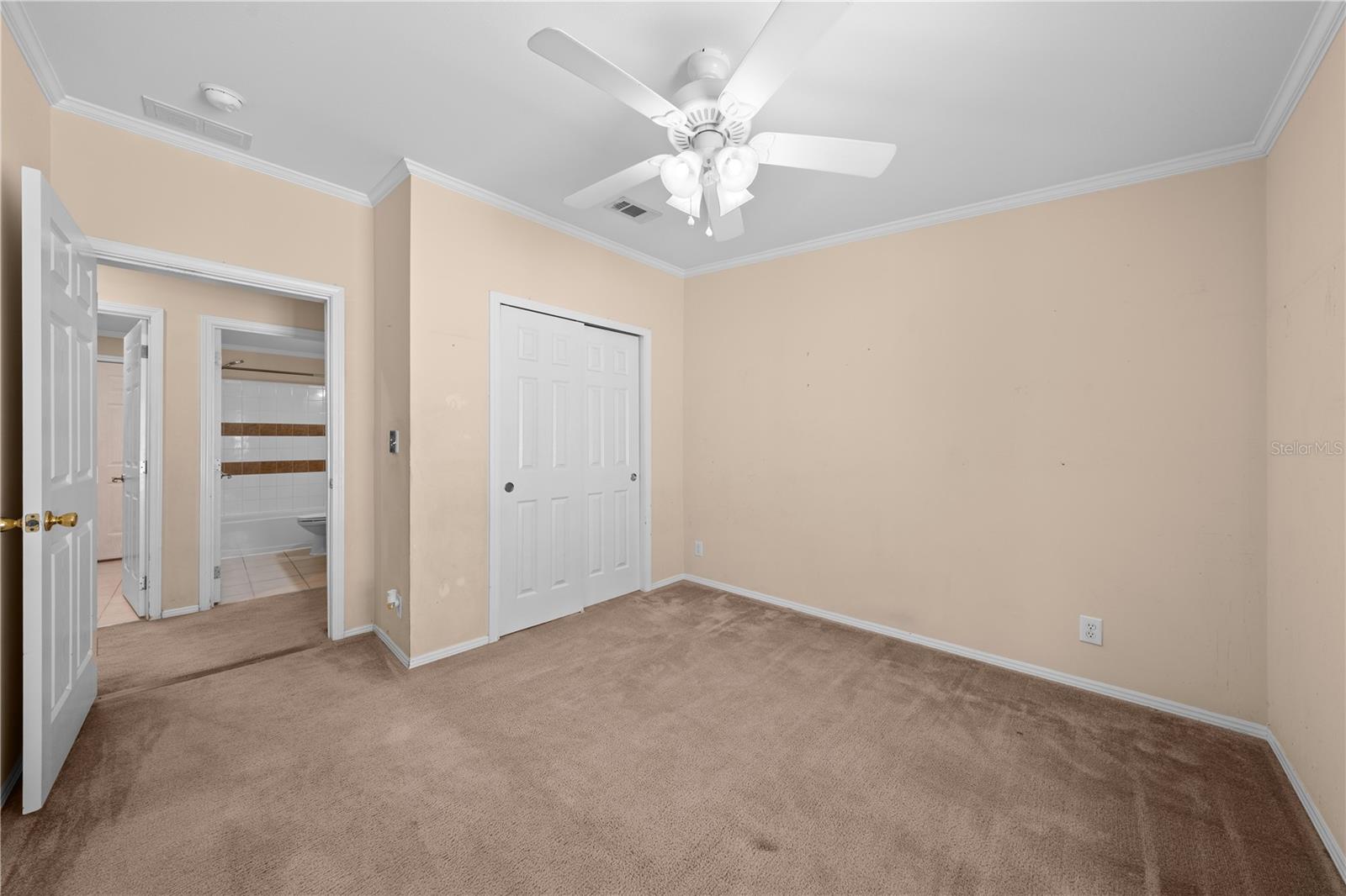 Image 20 of 43 For 1017 Patrick Street